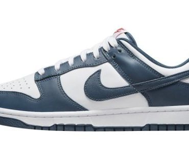 Nike Dunk Low Valerian Blue