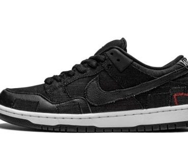 SB Dunk Low Wasted Youth – Special Box
