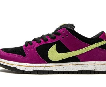 SB Dunk Low ACG Terra Red Plum