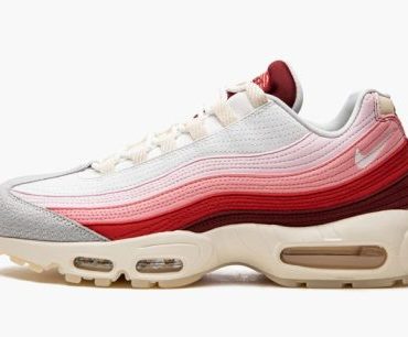 AIR MAX 95 QS Anatomy of Air