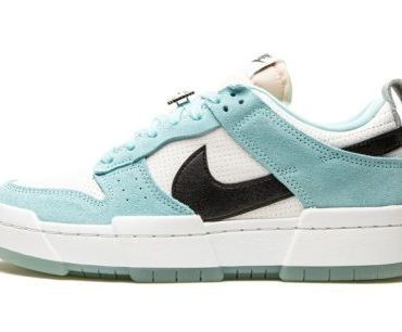 Nike Dunk Low Disrupt