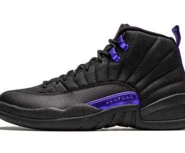 Air Jordan 12 Retro Dark Concord